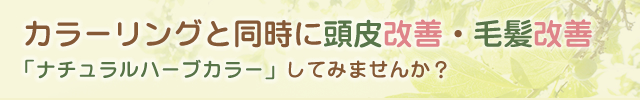 カラーリングと同時に頭皮改善・毛髪改善 「ナチュラルハーブカラー」してみませんか？